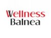 Wellness Belnea 2011